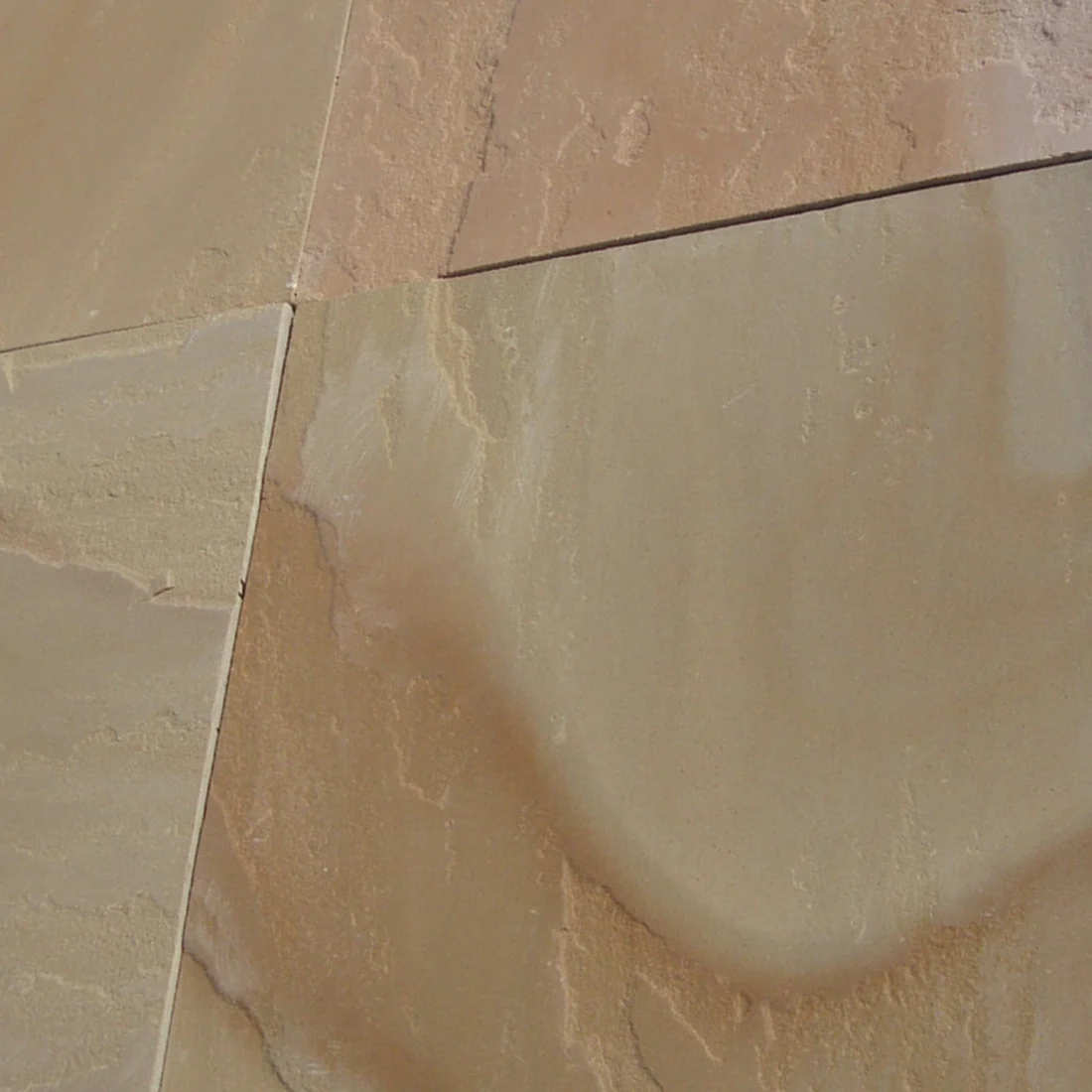 camel dust Sandstone
